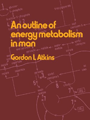 cover image of An Outline of Energy Metabolism in Man